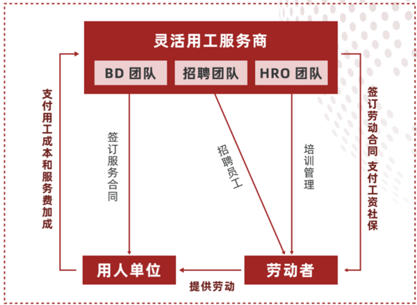 多鲸行研 | 2022 中国职业教育行业报告（下）