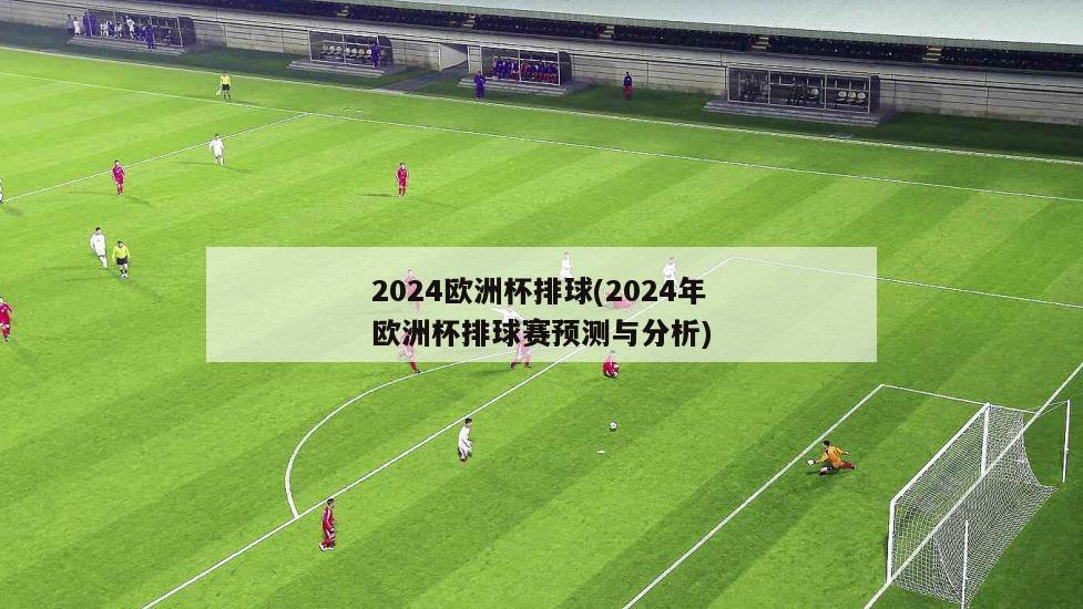 2024欧洲杯排球(2024年欧洲杯排球赛预测与分析)