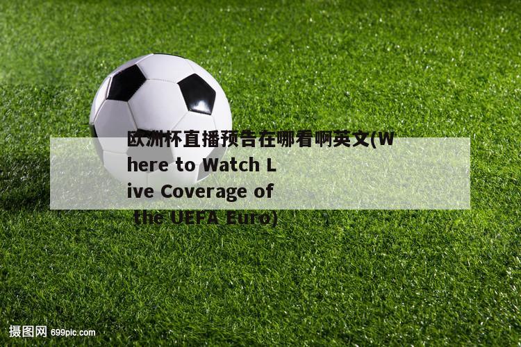 欧洲杯直播预告在哪看啊英文(Where to Watch Live Coverage of the UEFA Euro)