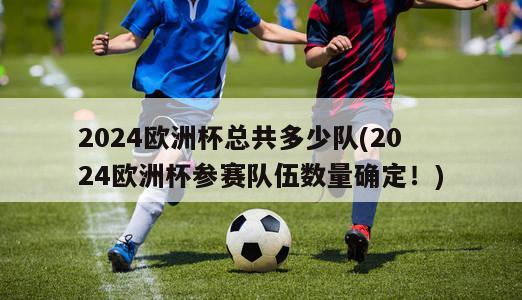 2024欧洲杯总共多少队(2024欧洲杯参赛队伍数量确定！)