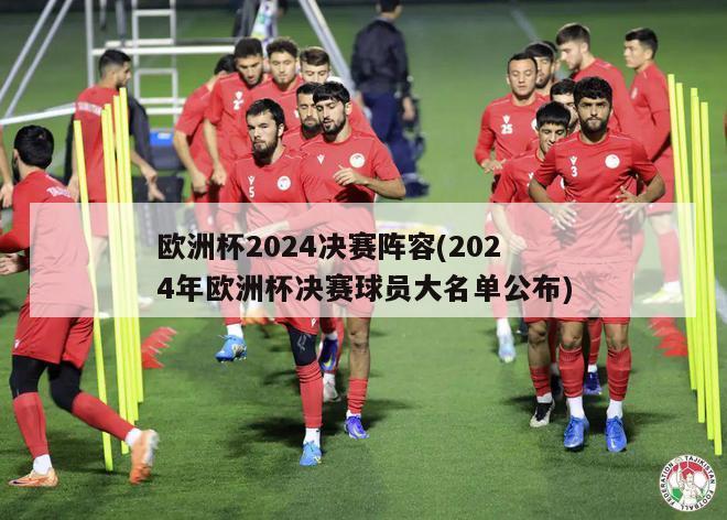 欧洲杯2024决赛阵容(2024年欧洲杯决赛球员大名单公布)