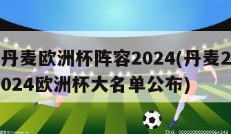 丹麦欧洲杯阵容2024(丹麦2024欧洲杯大名单公布)